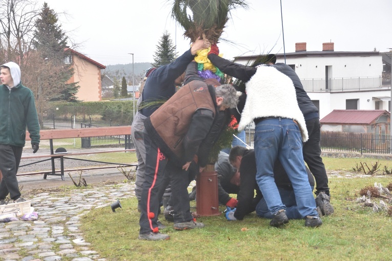 Jak górale w Gdańsku palmę postawili