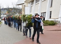 Góralska palma z Gdańska znowu urosła