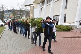 Góralska palma z Gdańska znowu urosła