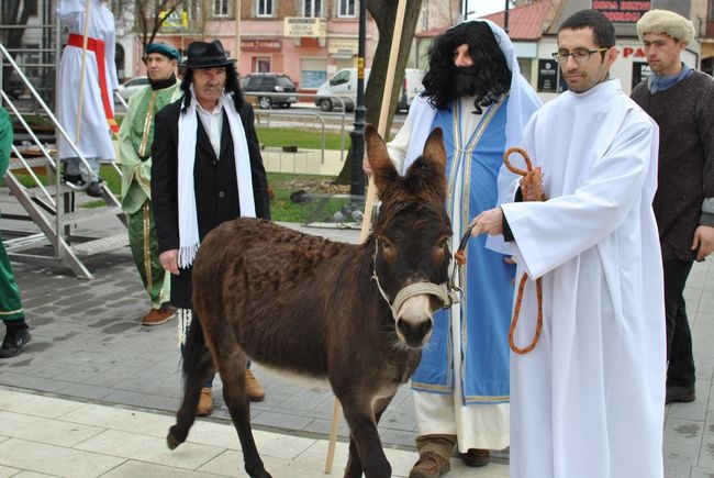 Stalowa Wola. Wejście Jezusa do Jerozolimy