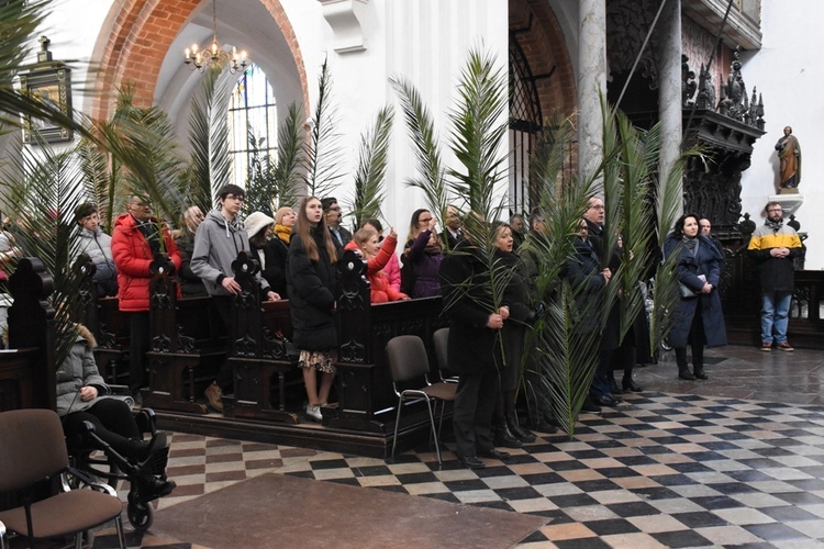 Niedziela Palmowa w archikatedrze oliwskiej 2023