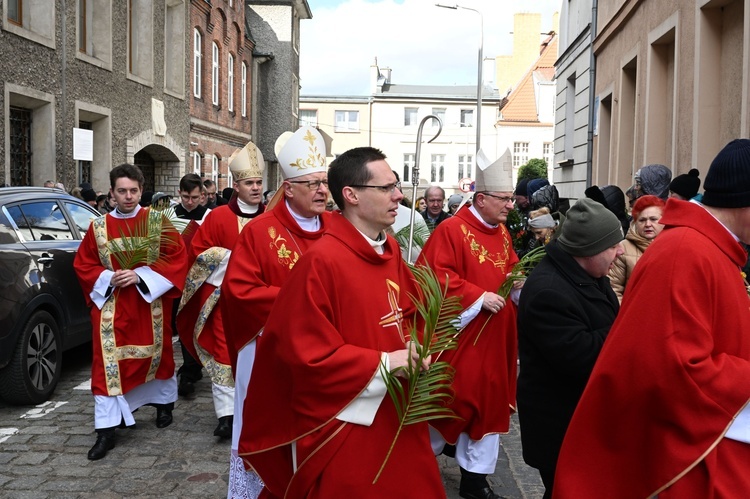 Niedziela Palmowa w Koszalinie