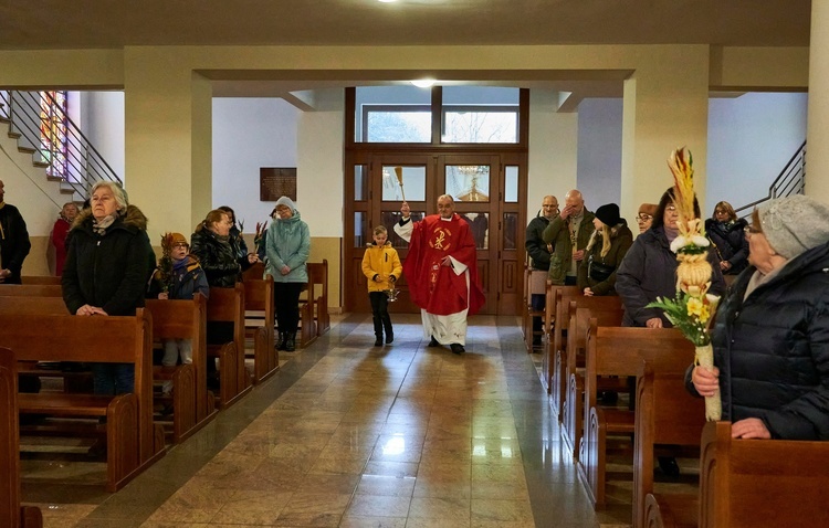 Niedziela Palmowa w diecezji świdnickiej