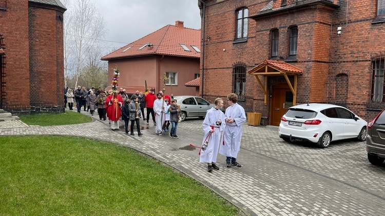 Niedziela Palmowa w diecezji świdnickiej