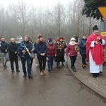 Niedziela Palmowa w diecezji świdnickiej