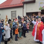 Niedziela Palmowa w diecezji świdnickiej