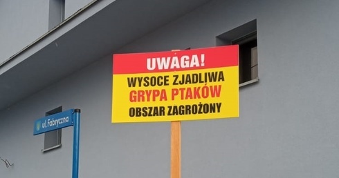 Region. Dwa ogniska grypy ptaków wykryto w regionie