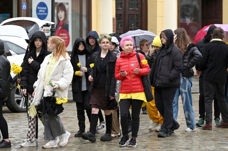Żółty marsz żonkili z Pola Nadziei przeszedł przez Świdnicę