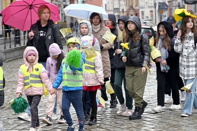 Żółty marsz żonkili z Pola Nadziei przeszedł przez Świdnicę