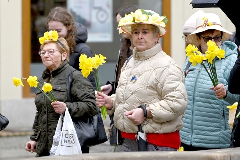 Żółty marsz żonkili z Pola Nadziei przeszedł przez Świdnicę