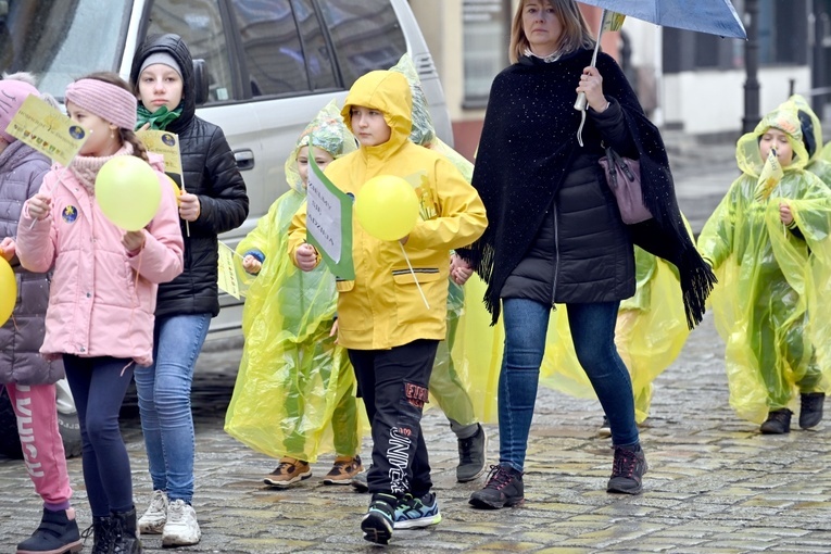 Żółty marsz żonkili z Pola Nadziei przeszedł przez Świdnicę