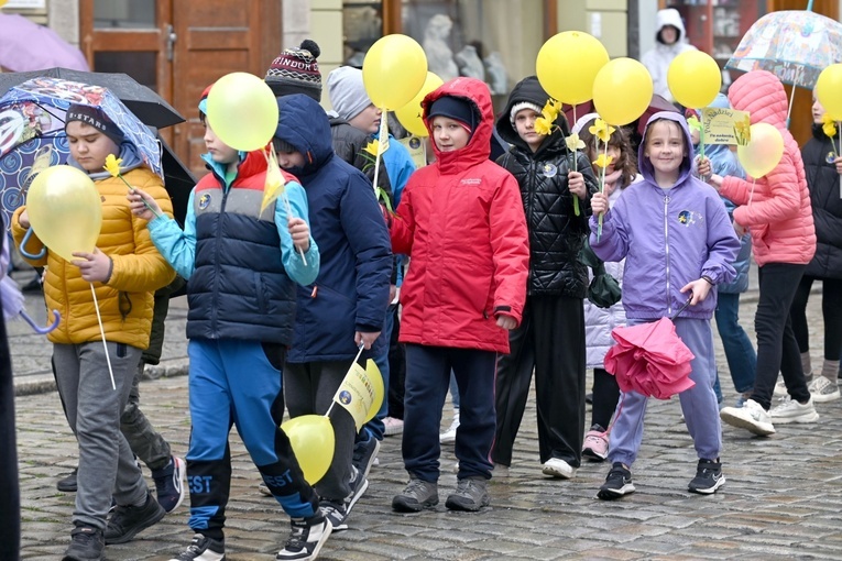 Żółty marsz żonkili z Pola Nadziei przeszedł przez Świdnicę