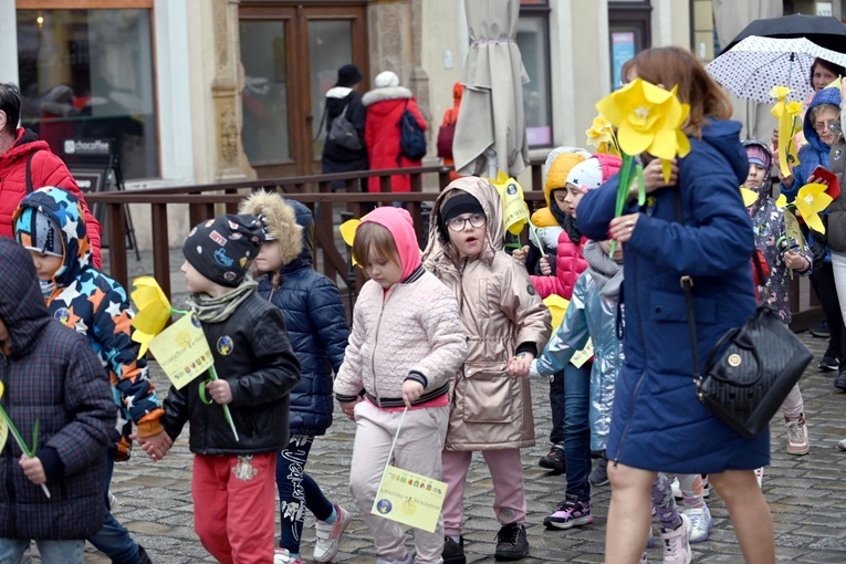 Żółty marsz żonkili z Pola Nadziei przeszedł przez Świdnicę