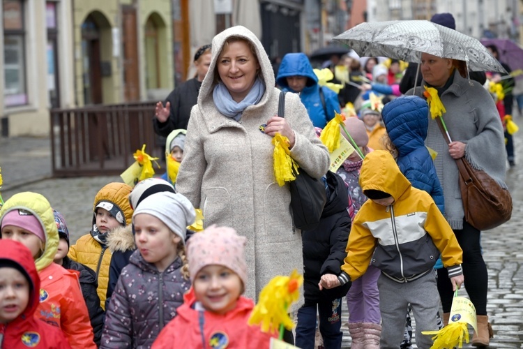 Żółty marsz żonkili z Pola Nadziei przeszedł przez Świdnicę