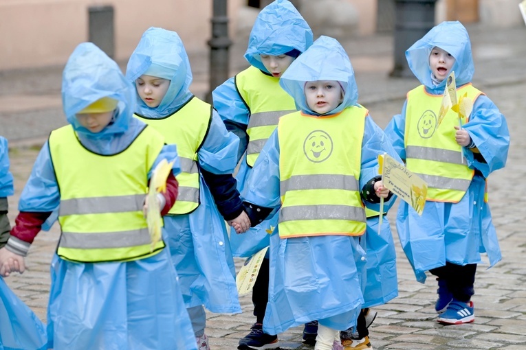 Żółty marsz żonkili z Pola Nadziei przeszedł przez Świdnicę