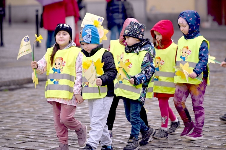 Żółty marsz żonkili z Pola Nadziei przeszedł przez Świdnicę