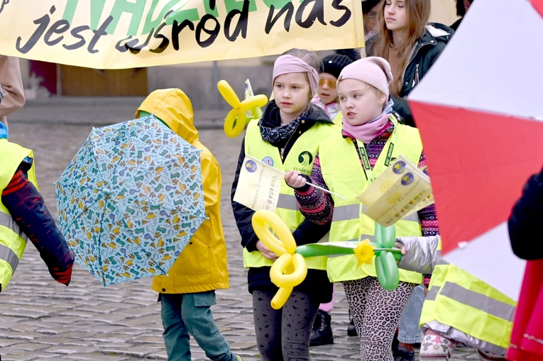 Żółty marsz żonkili z Pola Nadziei przeszedł przez Świdnicę