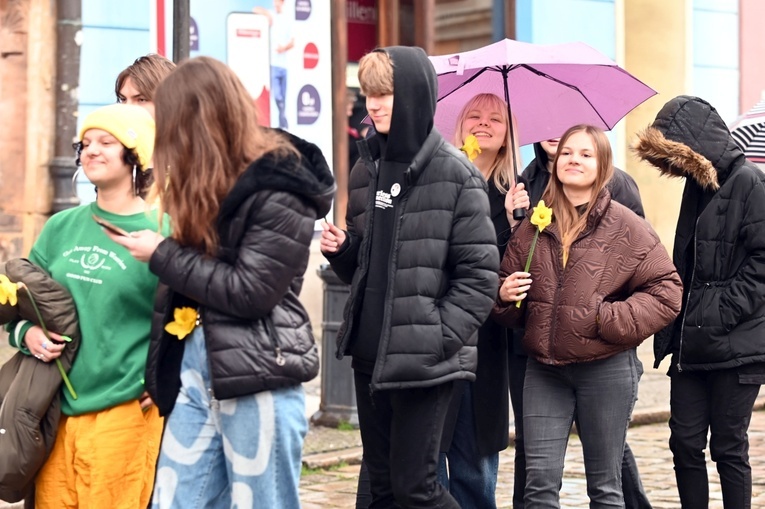 Żółty marsz żonkili z Pola Nadziei przeszedł przez Świdnicę