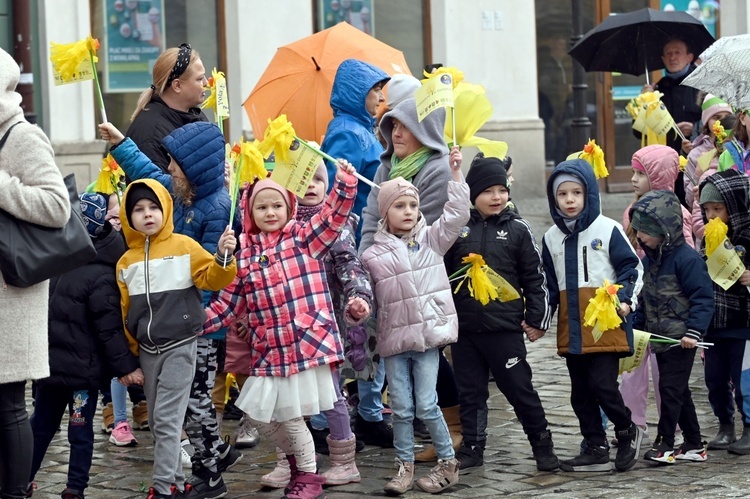 Żółty marsz żonkili z Pola Nadziei przeszedł przez Świdnicę