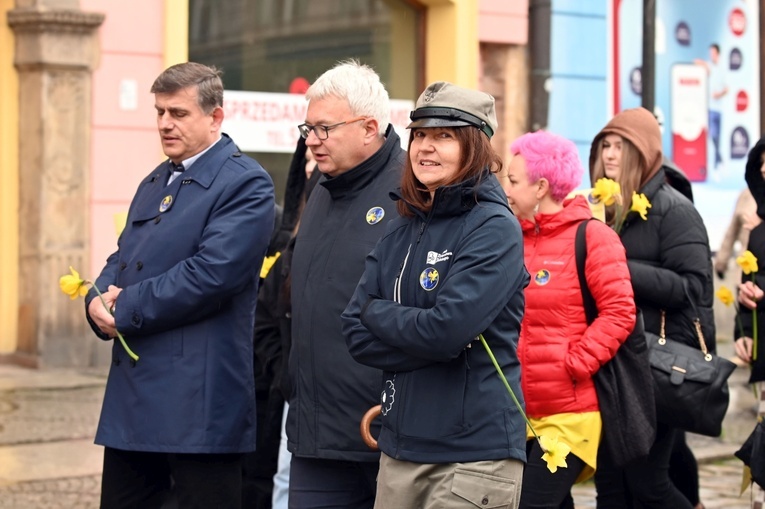 Żółty marsz żonkili z Pola Nadziei przeszedł przez Świdnicę