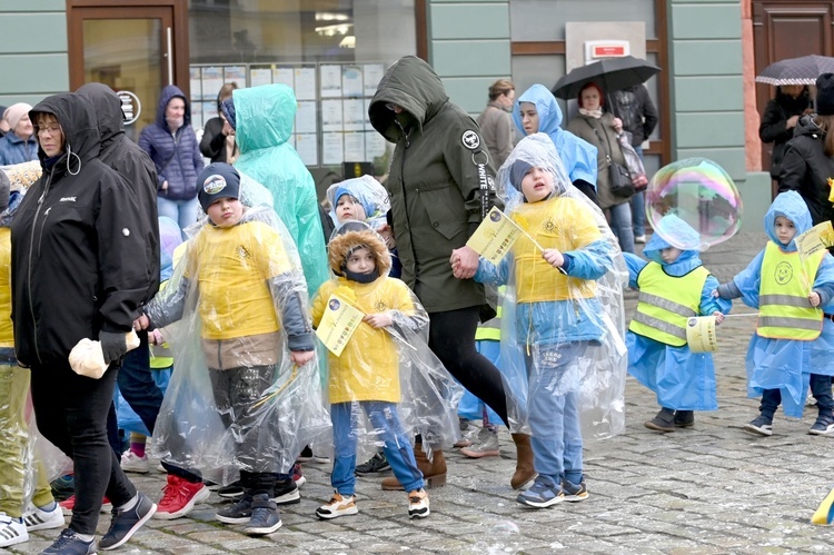 Żółty marsz żonkili z Pola Nadziei przeszedł przez Świdnicę