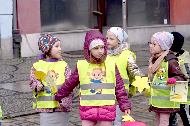 Żółty marsz żonkili z Pola Nadziei przeszedł przez Świdnicę