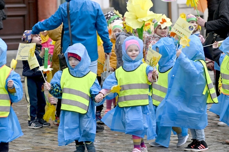 Żółty marsz żonkili z Pola Nadziei przeszedł przez Świdnicę