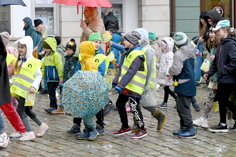 Żółty marsz żonkili z Pola Nadziei przeszedł przez Świdnicę