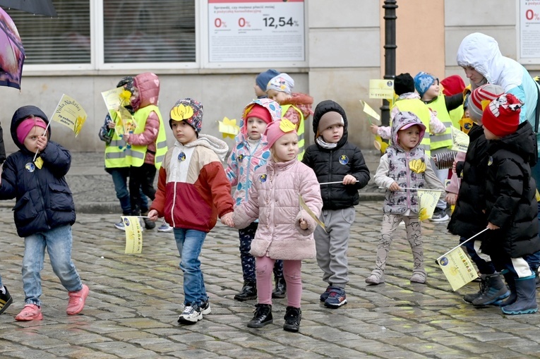 Żółty marsz żonkili z Pola Nadziei przeszedł przez Świdnicę