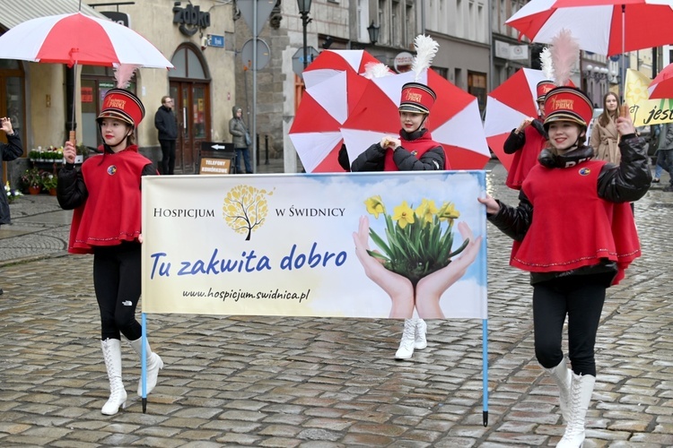 Żółty marsz żonkili z Pola Nadziei przeszedł przez Świdnicę