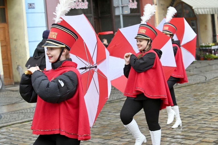 Żółty marsz żonkili z Pola Nadziei przeszedł przez Świdnicę
