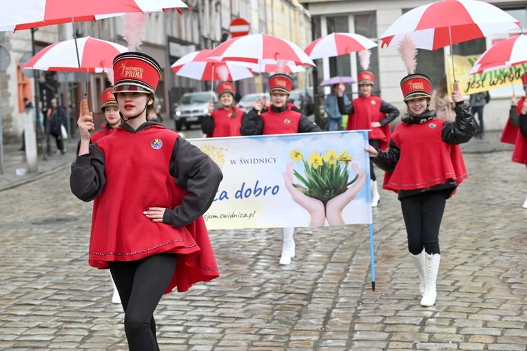 Żółty marsz żonkili z Pola Nadziei przeszedł przez Świdnicę