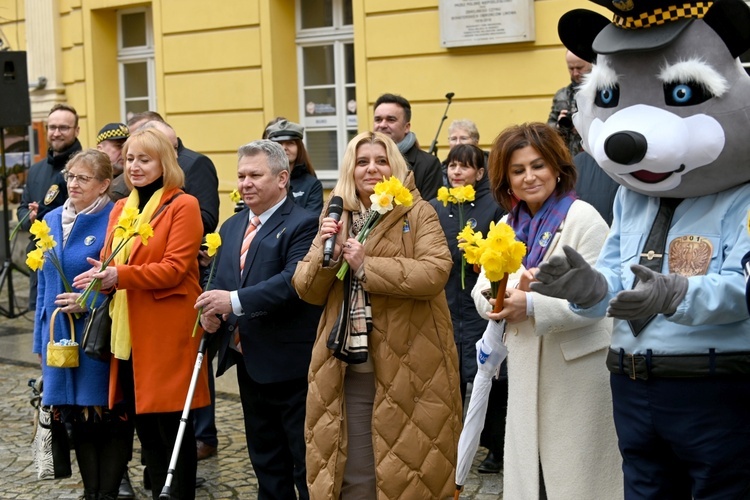 Żółty marsz żonkili z Pola Nadziei przeszedł przez Świdnicę