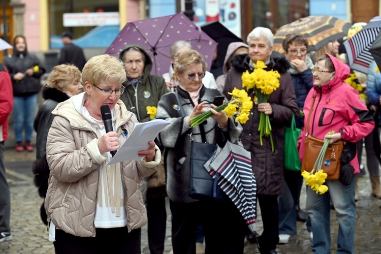 Żółty marsz żonkili z Pola Nadziei przeszedł przez Świdnicę