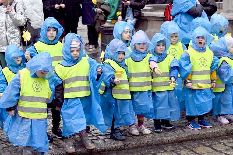 Żółty marsz żonkili z Pola Nadziei przeszedł przez Świdnicę