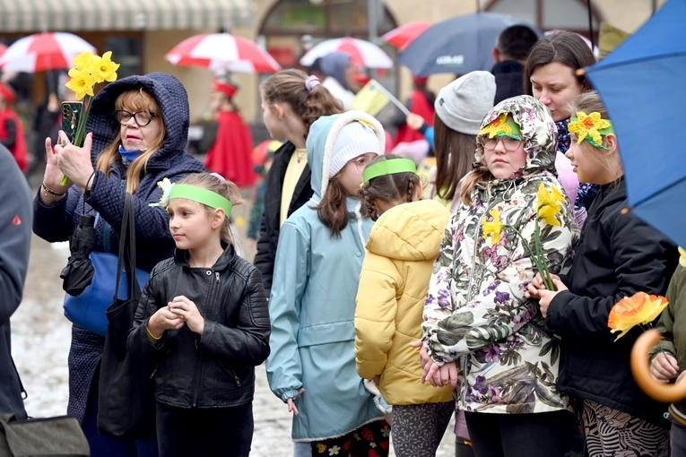 Żółty marsz żonkili z Pola Nadziei przeszedł przez Świdnicę