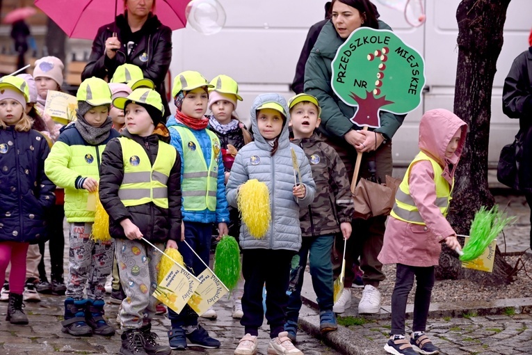 Żółty marsz żonkili z Pola Nadziei przeszedł przez Świdnicę
