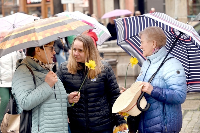 Żółty marsz żonkili z Pola Nadziei przeszedł przez Świdnicę