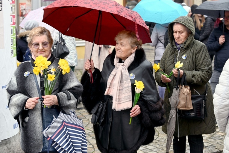 Żółty marsz żonkili z Pola Nadziei przeszedł przez Świdnicę