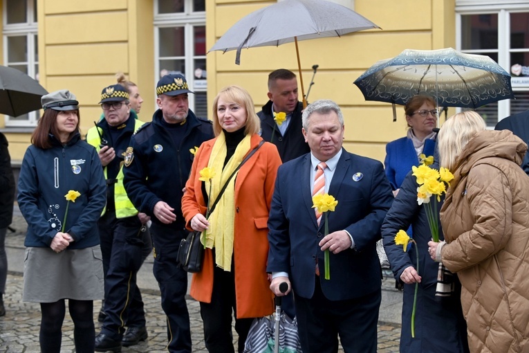 Żółty marsz żonkili z Pola Nadziei przeszedł przez Świdnicę