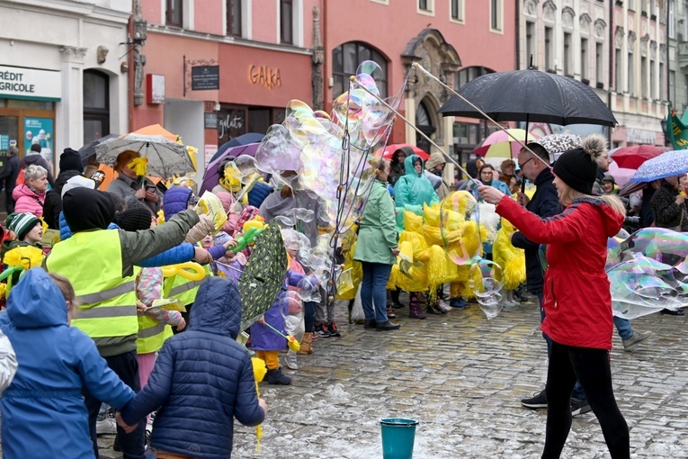 Żółty marsz żonkili z Pola Nadziei przeszedł przez Świdnicę