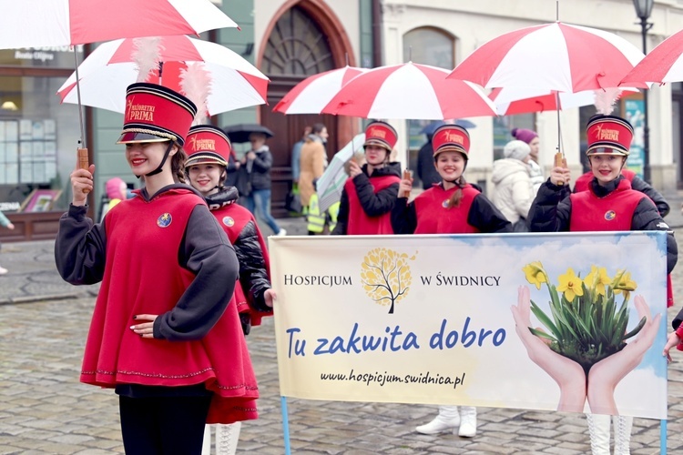 Żółty marsz żonkili z Pola Nadziei przeszedł przez Świdnicę