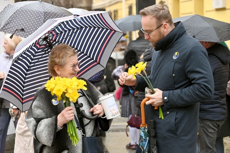 Żółty marsz żonkili z Pola Nadziei przeszedł przez Świdnicę