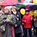 Żółty marsz żonkili z Pola Nadziei przeszedł przez Świdnicę