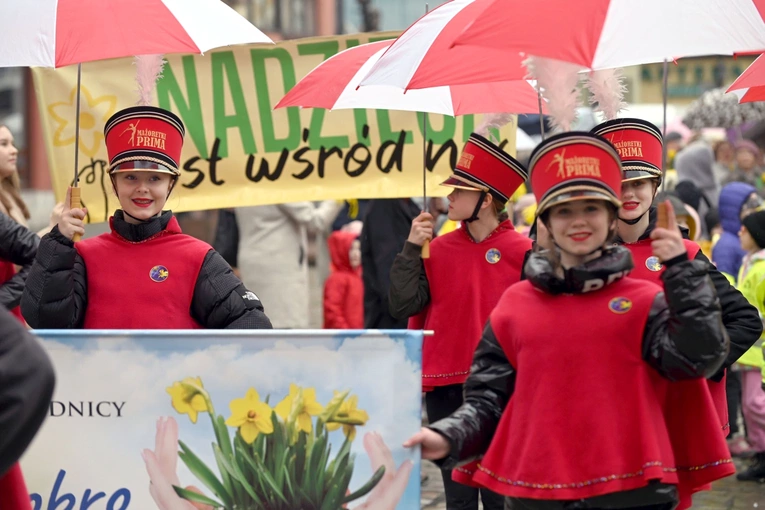 Żółty marsz żonkili z Pola Nadziei przeszedł przez Świdnicę