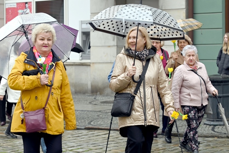 Żółty marsz żonkili z Pola Nadziei przeszedł przez Świdnicę