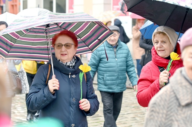 Żółty marsz żonkili z Pola Nadziei przeszedł przez Świdnicę