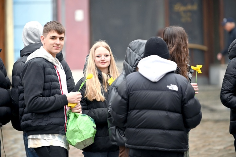 Żółty marsz żonkili z Pola Nadziei przeszedł przez Świdnicę