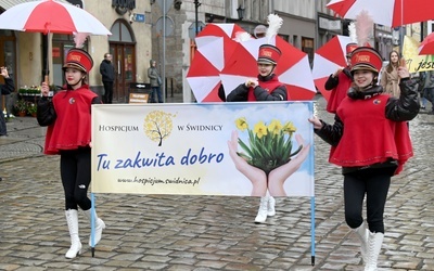 Żółty marsz żonkili z Pola Nadziei przeszedł przez Świdnicę