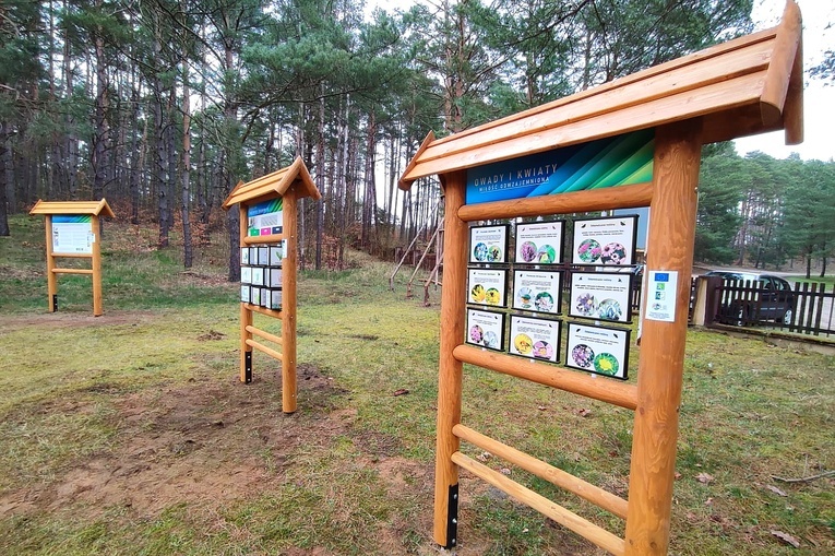 Ścieżka edukacyjna i ekologia w praktyce